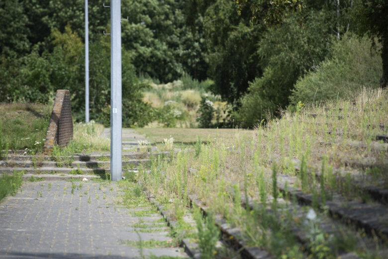 Elinkwijk Lost Ground