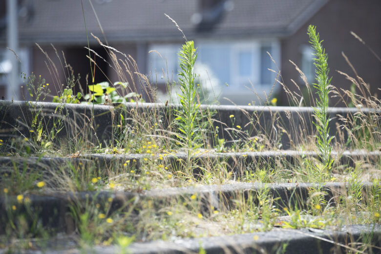 Elinkwijk Lost Ground