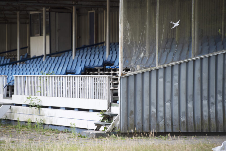 Elinkwijk Lost Ground