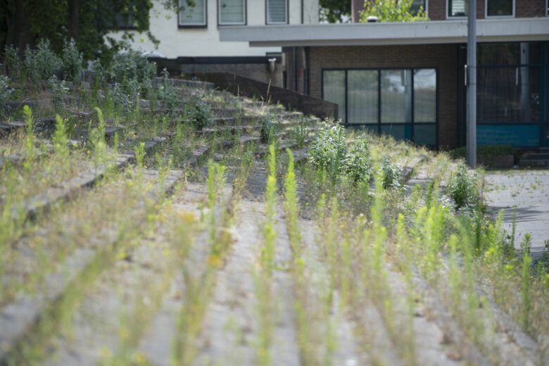 Elinkwijk Lost Ground