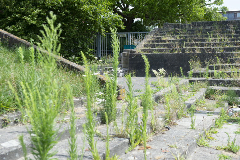 Elinkwijk Lost Ground