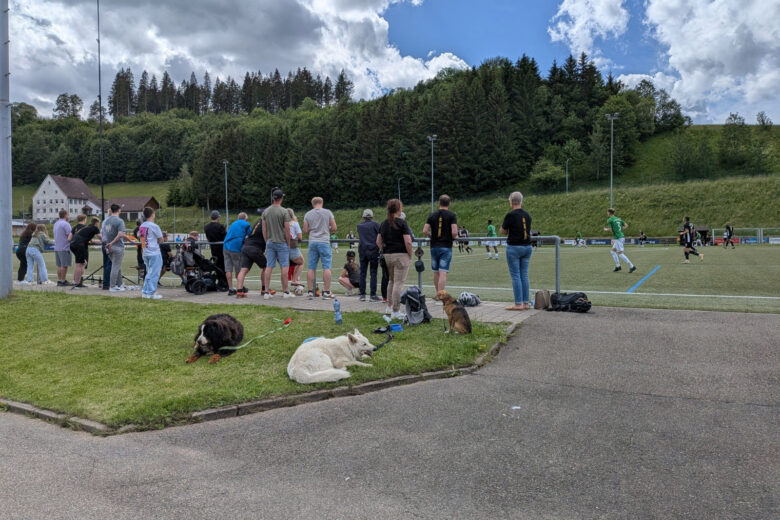 Voetbalreis langs de Donau